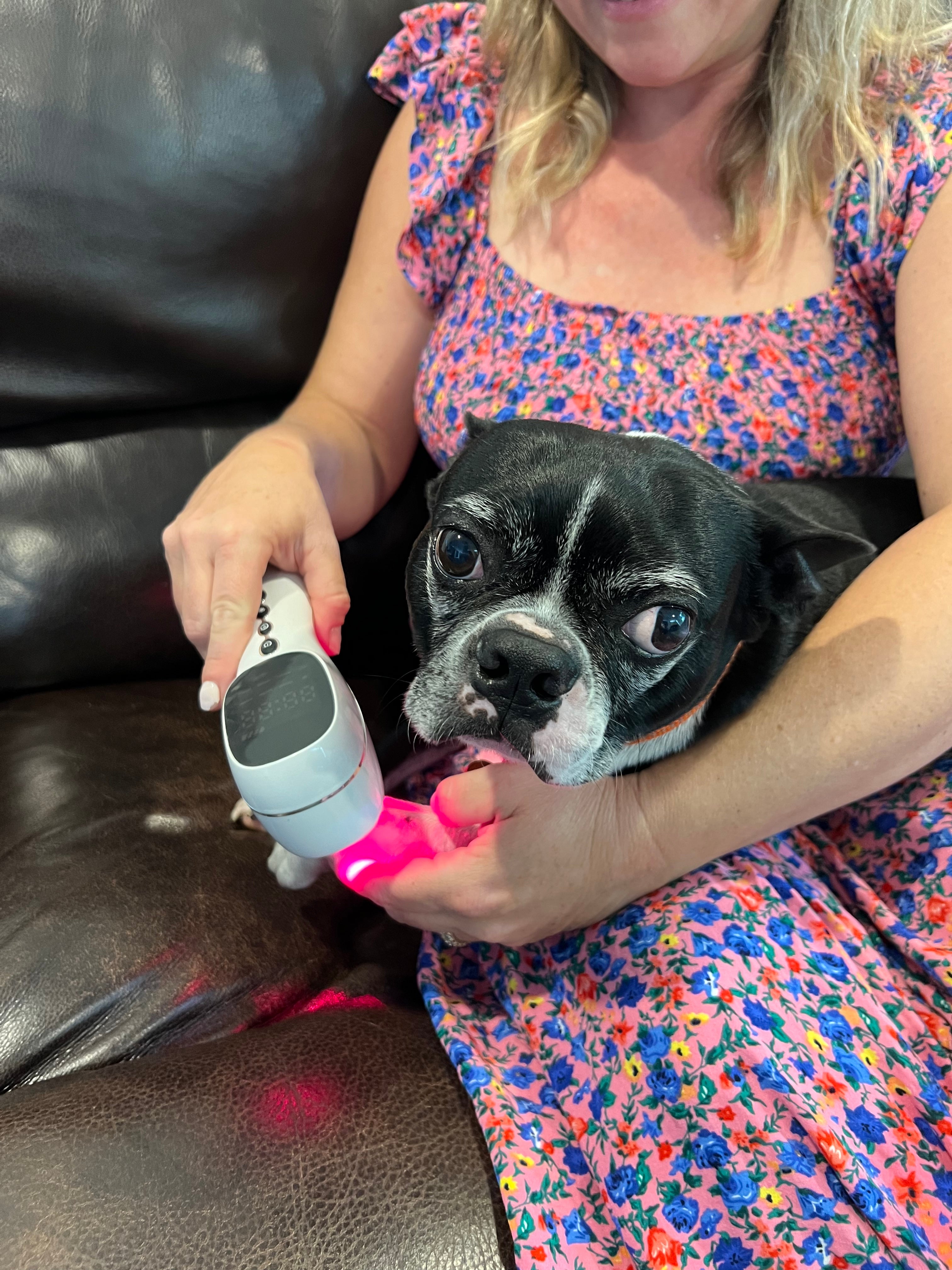 BuddyLight Red Light Laser Pain Relief device for Pets